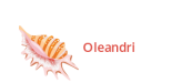 Oleandri Suite Hotel
